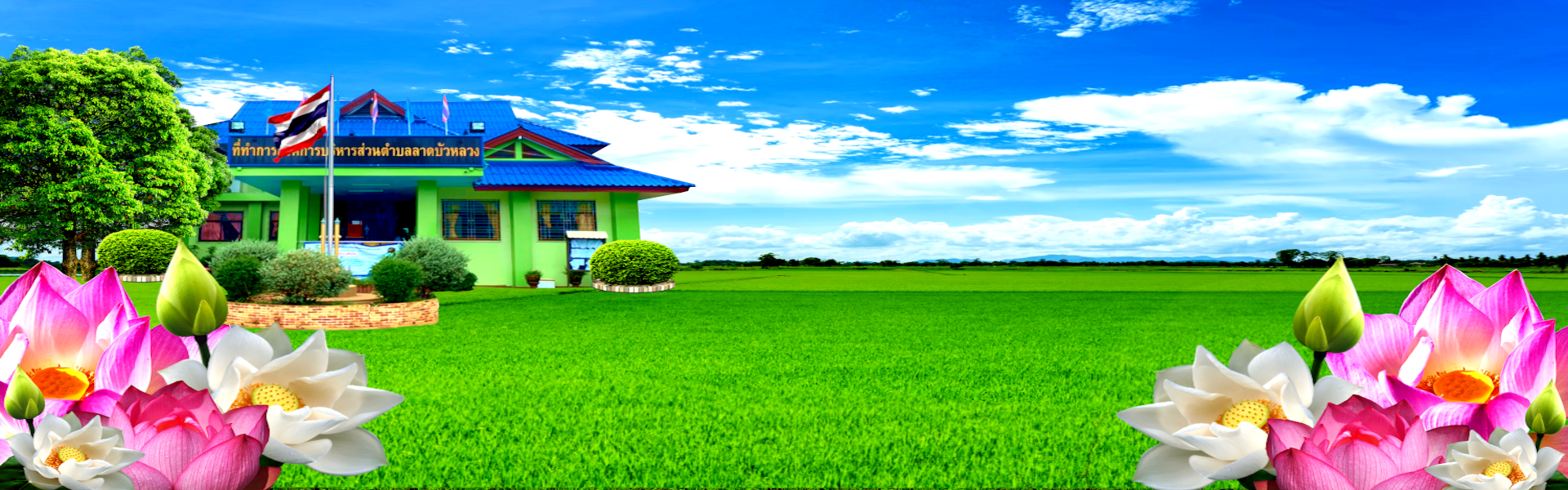 พื้นหลัง